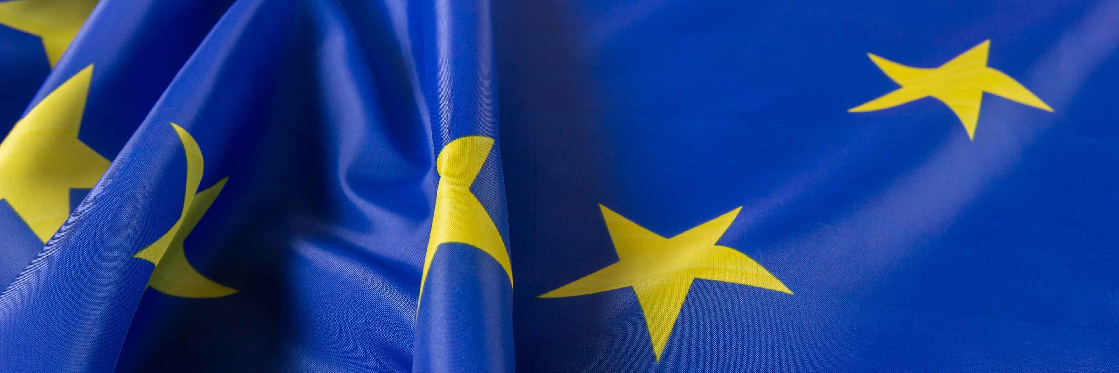 European Union EU Flag European Union EU Flag