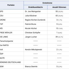 ERSTSTIMME lokal