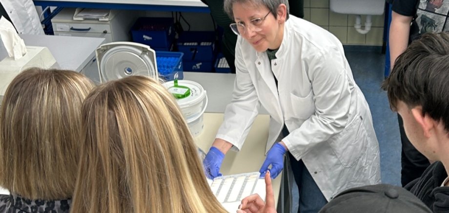 Kopie von Normaler Post 4:5 - 7